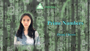 Project Pascal, Raffles Institution, RI, Math, Prime numbers, Analytic number theory, James Maynard,Fermat's Last Theorem,Andrew Wiles,Algebraic geometry